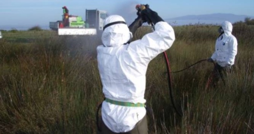 Febbre del Nilo, c’è il primo caso assoluto nel Cagliaritano: contagiato un anziano