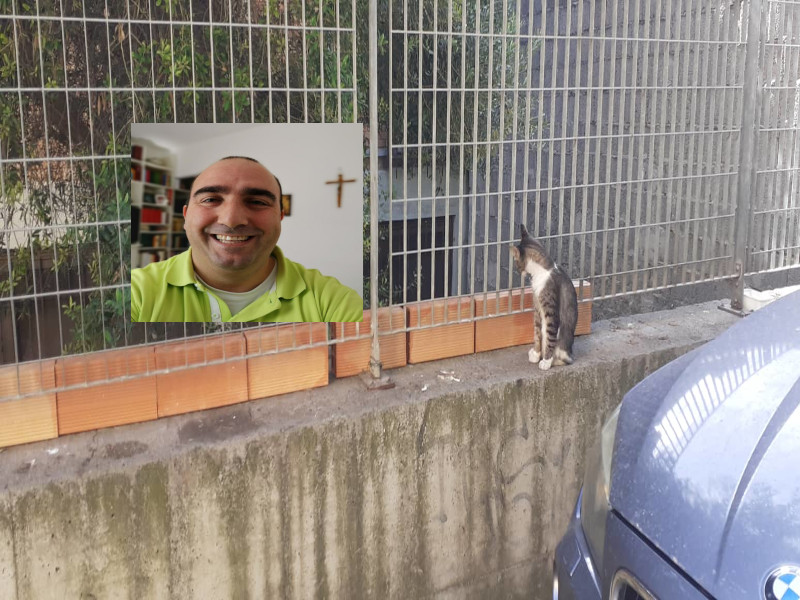 Cagliari, la battaglia tra gattare e parroco: “I mici non possono stare nel cortile della chiesa”