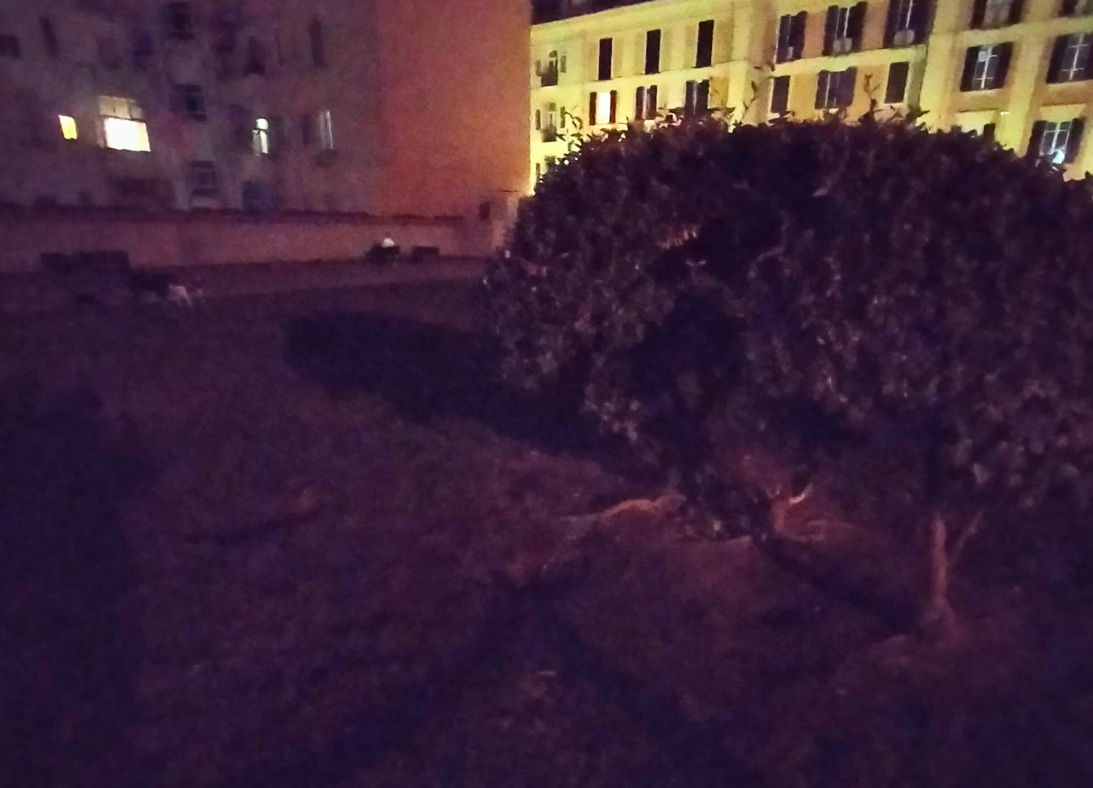 Cagliari, luce ko anche nei parchi: “Due persone cadute nelle buche per colpa del buio”