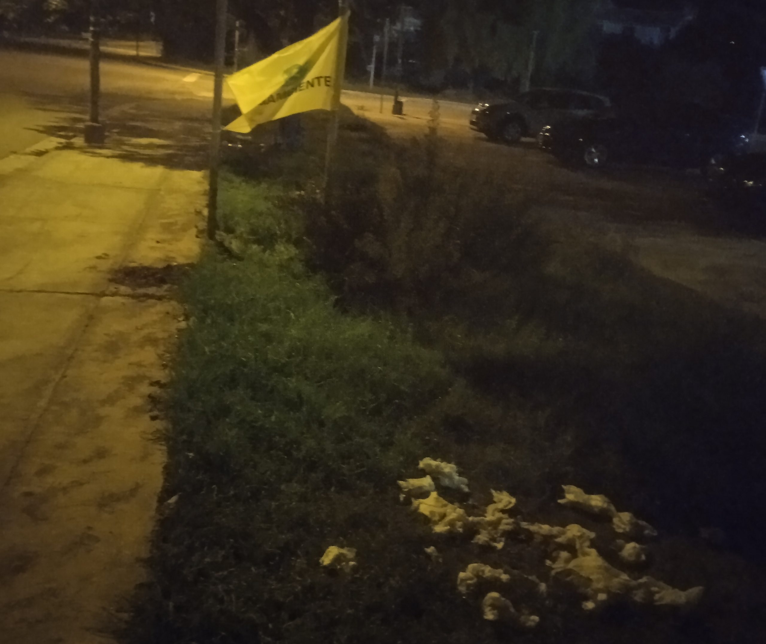 Rifiuti gettati dove Legambiente ha pulito: scempio a Serramanna