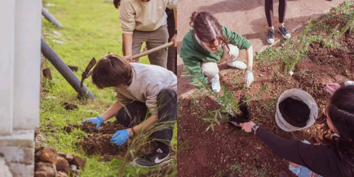Capoterra, piantati 150 nuovi alberi