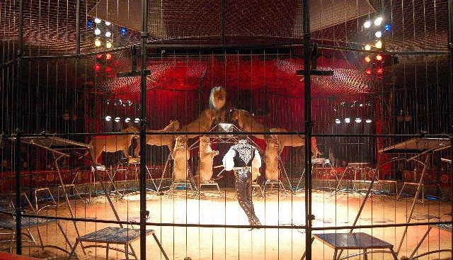 Cagliari, ecco gli spettacoli viaggianti: luna park a Sant’Elia e Mulinu Becciu e circo in via San Paolo