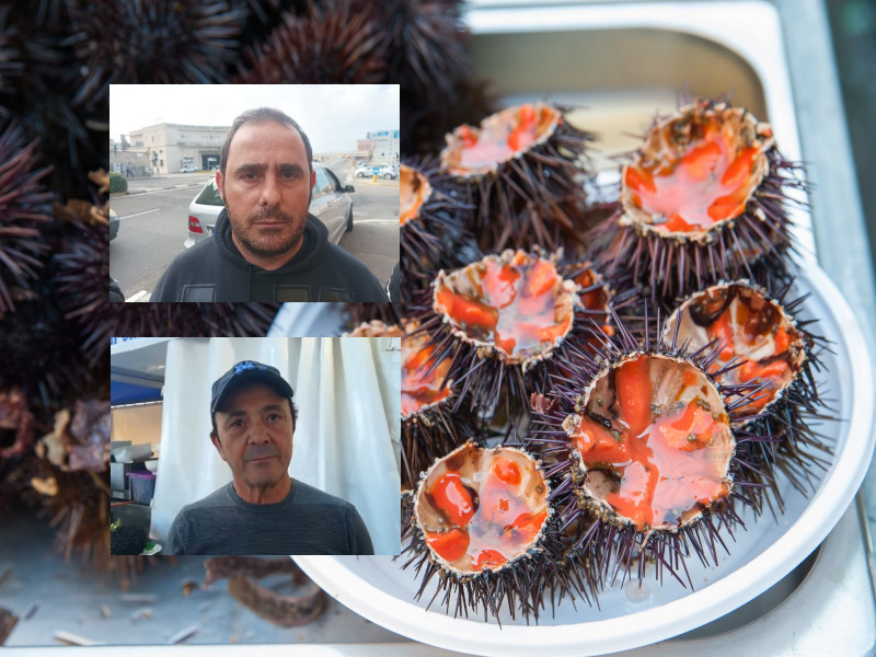 I ricciai pronti a bloccare il porto di Cagliari: “Con seimila euro non viviamo, vogliamo pescare”