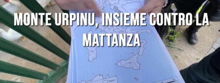 “Pavoni uccisi davanti ai custodi in lacrime, fermiamo il massacro di Monte Urpinu”