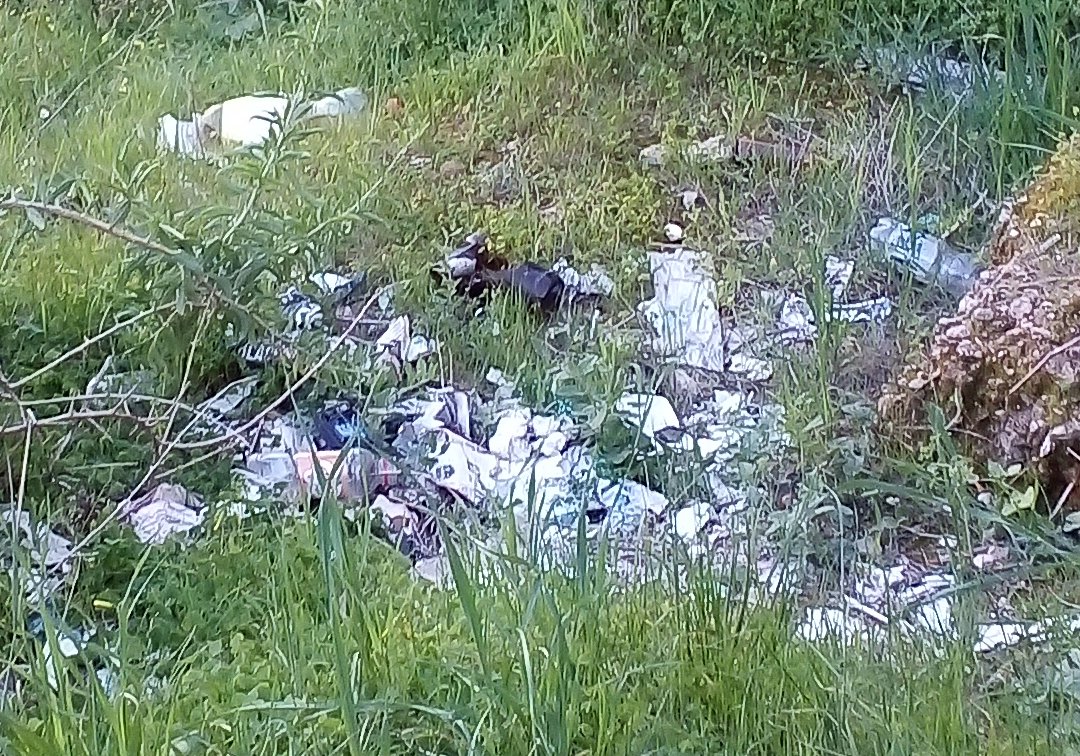 Cagliari, l’Anfiteatro violabile e stracolmo di rifiuti: “Monumento tristemente abbandonato”