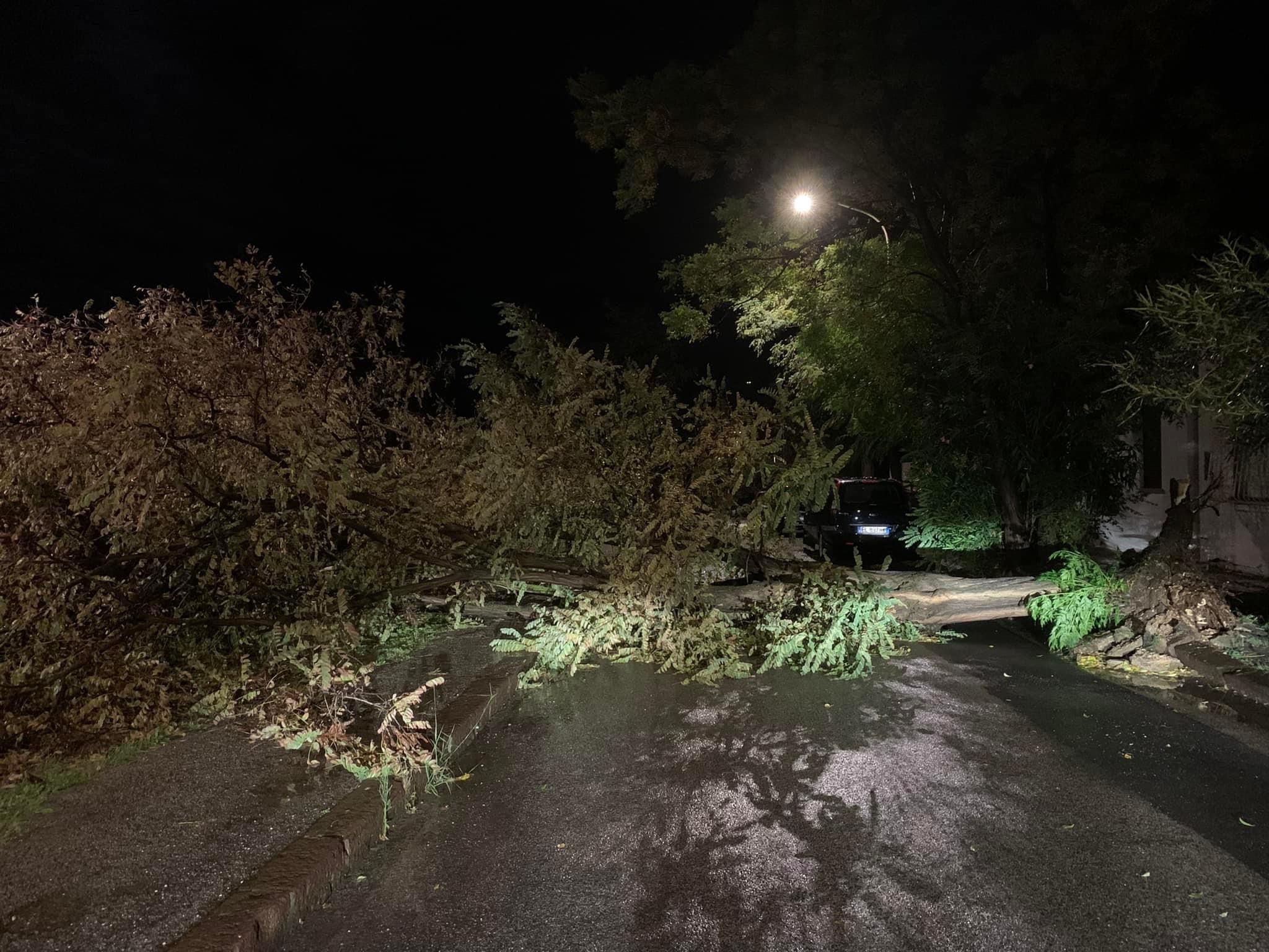 Raffiche di vento da 100 km orari e alberi sradicati: Carbonia sconvolta dalla tempesta