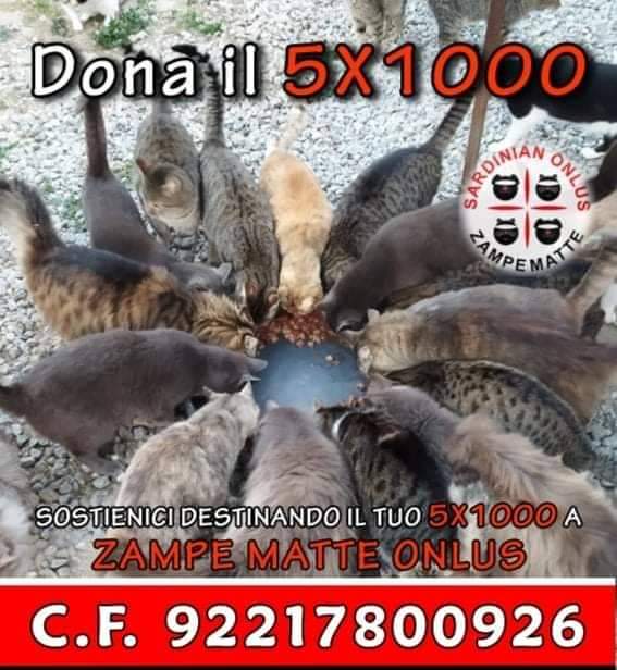 Quartu, raccolta alimentare per gli animali in collaborazione con l’ associazione Zampe Matte onlus