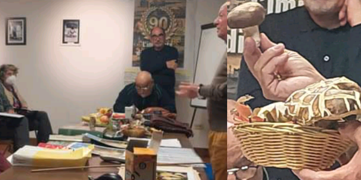 Funghi velenosi o commestibili? Al via il primo corso formativo teorico-pratico ad Arborea