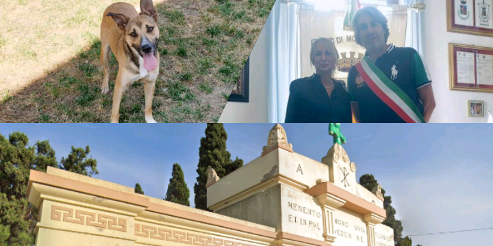 Monserrato, gli animali d’affezione potranno entrare in cimitero