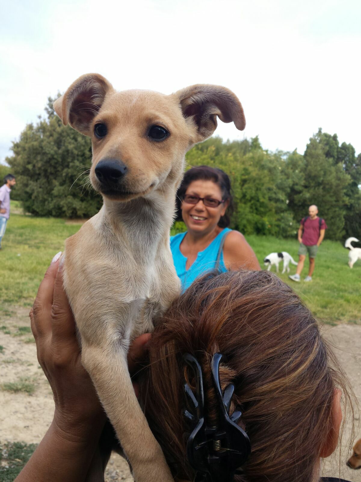 Addio a Paola Pistis, l’angelo più amato dagli animali a Cagliari: ci ha lasciato l’animalista di tutta la città