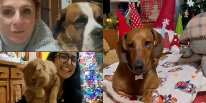 San Sperate, nessuna ordinanza comunale impedirà di scoppiare botti, petardi e fuochi d’artificio