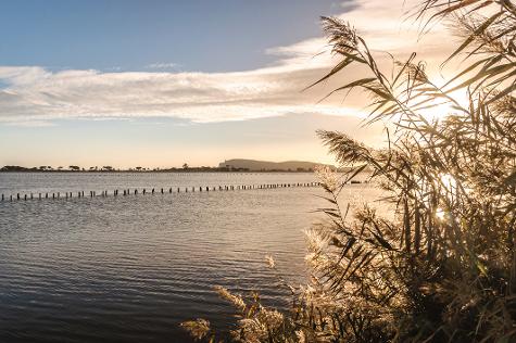 Meteo Casteddu, poche nuvole e tanto sole sulla Sardegna: weekend senza ombrelli