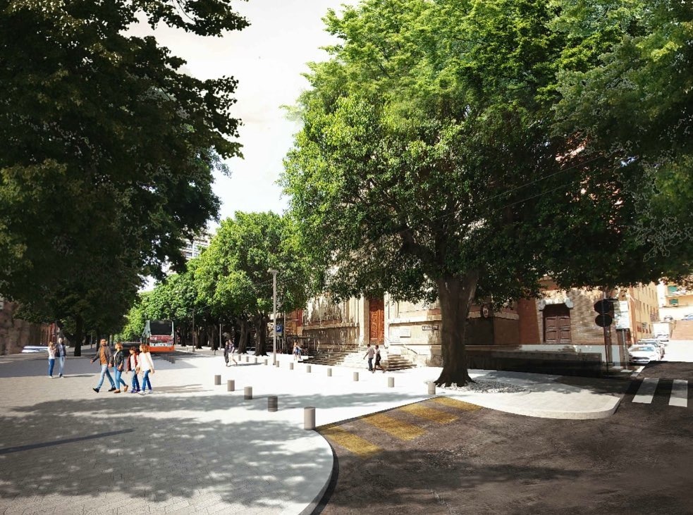 Cagliari, 10 alberi condannati in viale Trieste: “Ma sono tutti a rischio cedimento”