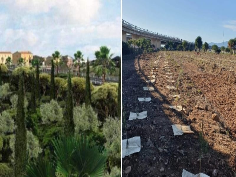 Svolta green a Cagliari, foresta urbana e nuovo ponte tra via San Paolo e la laguna di Santa Gilla
