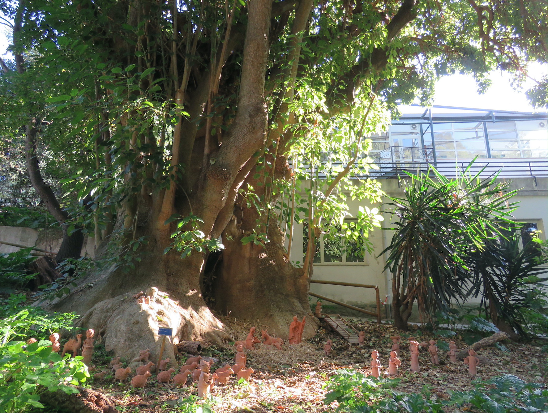 Cagliari, all’Orto botanico si rinnova la tradizione con il presepe asseminese