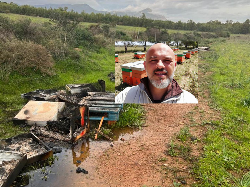 Valerio di Villacidro, apicoltore in lacrime: “Le mie api bruciate vive, non ho mai infastidito nessuno”