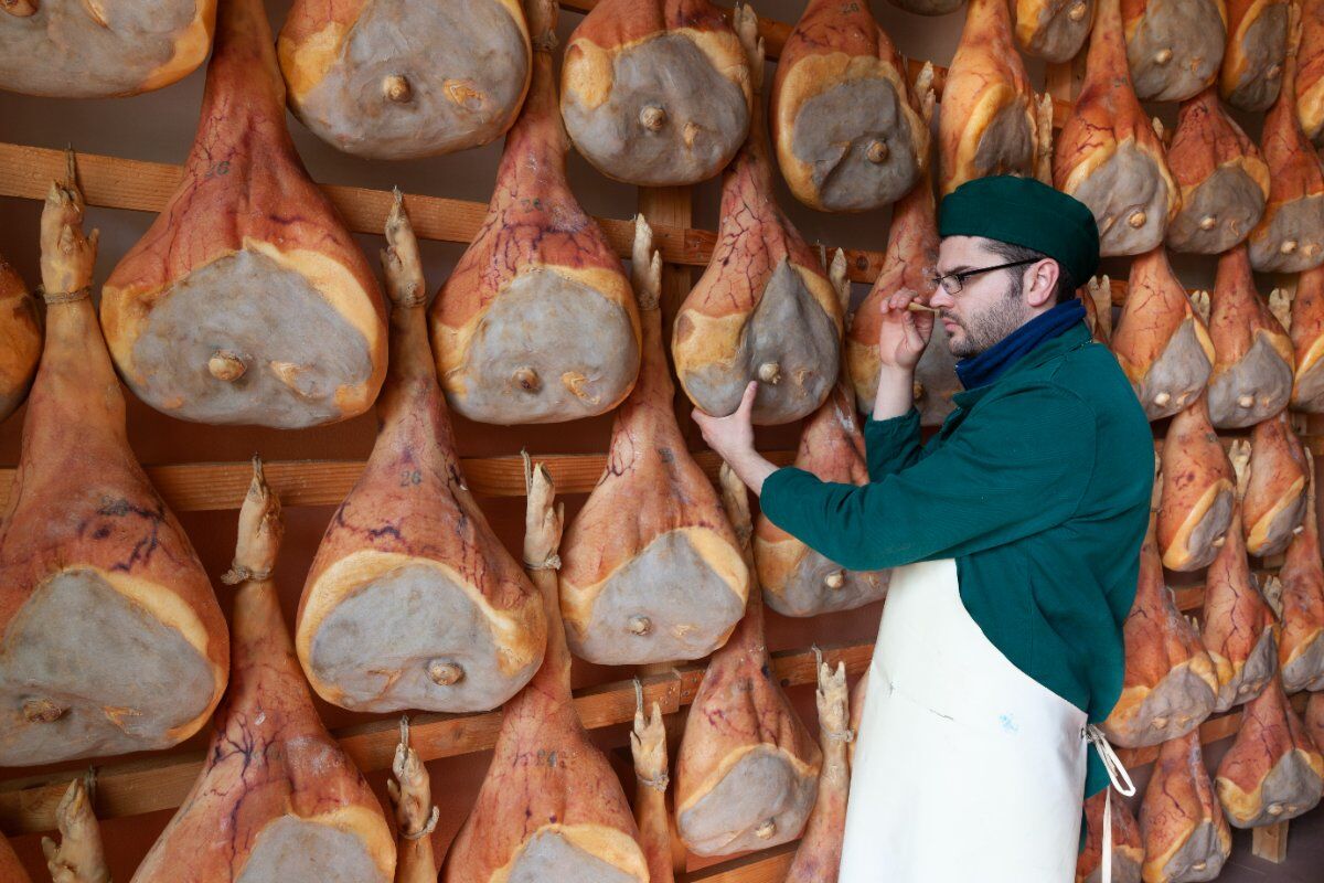 Peste suina, dopo 11 anni finisce il divieto di esportare maiali dalla Sardegna