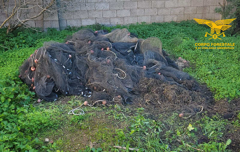 Pesca illegale nello stagno di Porto Pino, blitz della Forestale: confiscate quindici reti