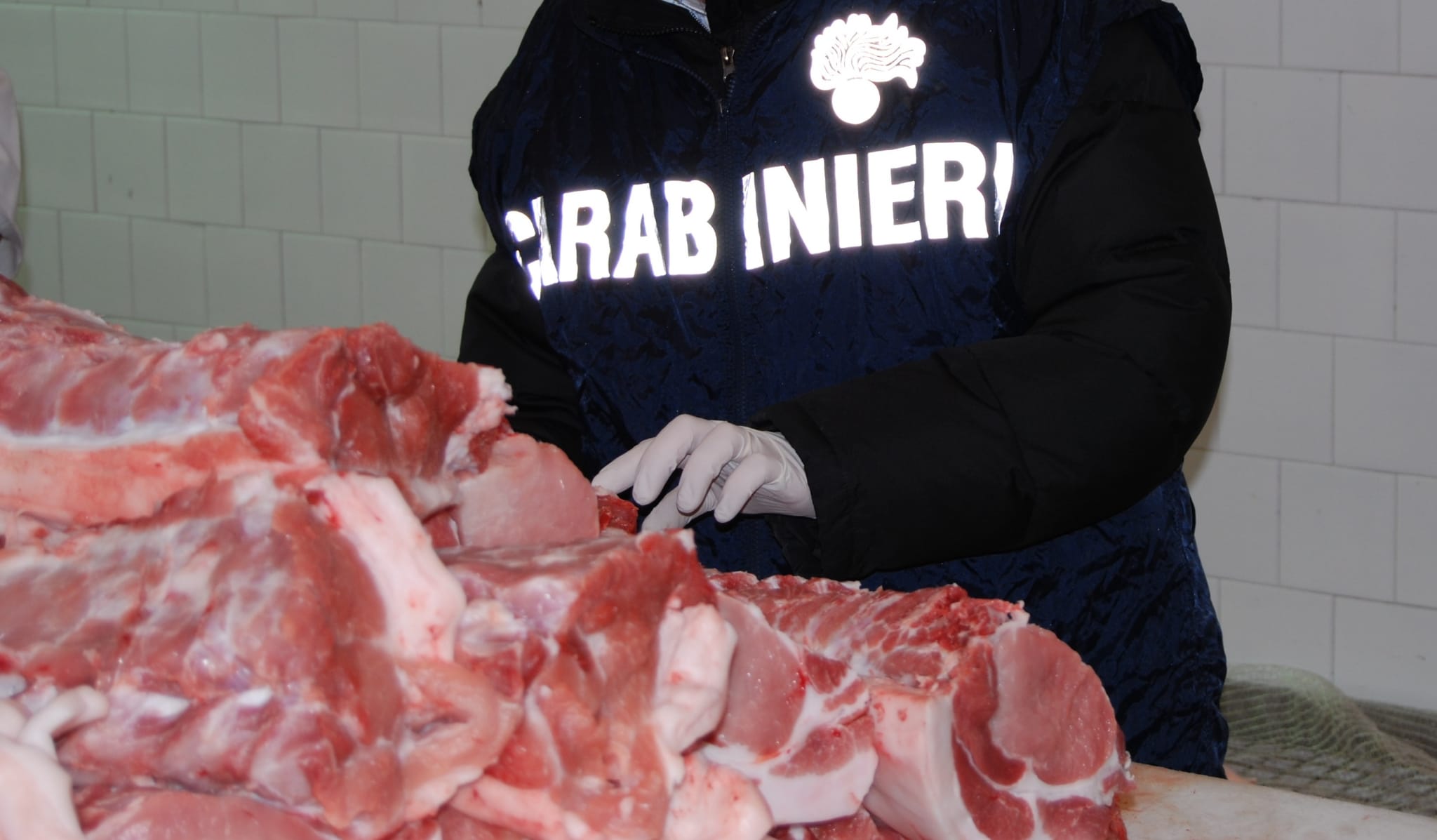 Topi morti, insetti e sporcizia ovunque: i Nas sospendono l’attività di un’azienda all’ingrosso a Macchiareddu