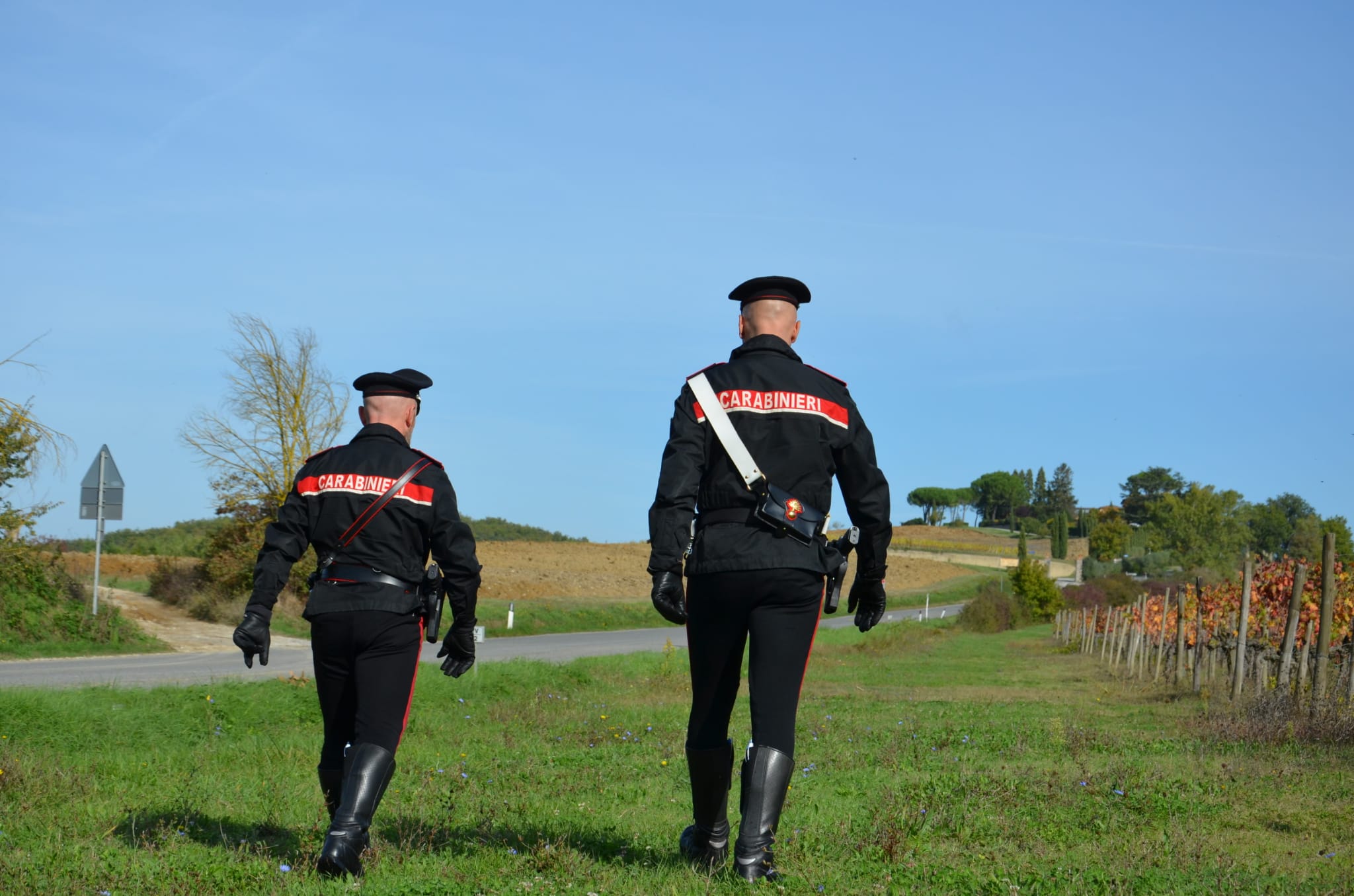 Ruba da un agrumeto e carica nell’auto 110 kg di arance: 31enne denunciato a Monastir