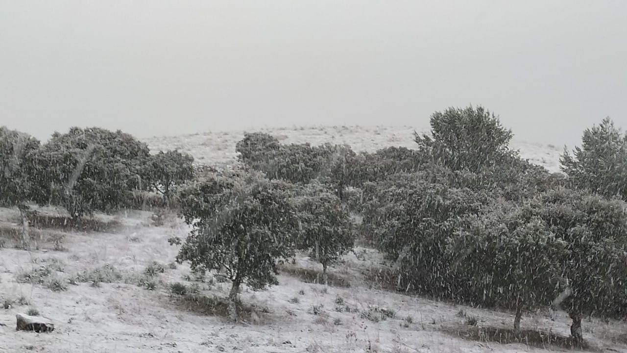 Sardegna meridionale nel gelo: Mandas imbiancata e neve anche sui monti di Capoterra