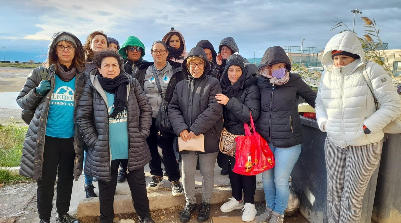 Sos a Radio Zampetta Sarda: “A Sant’Elia colonie feline sterminate da un pitbull”