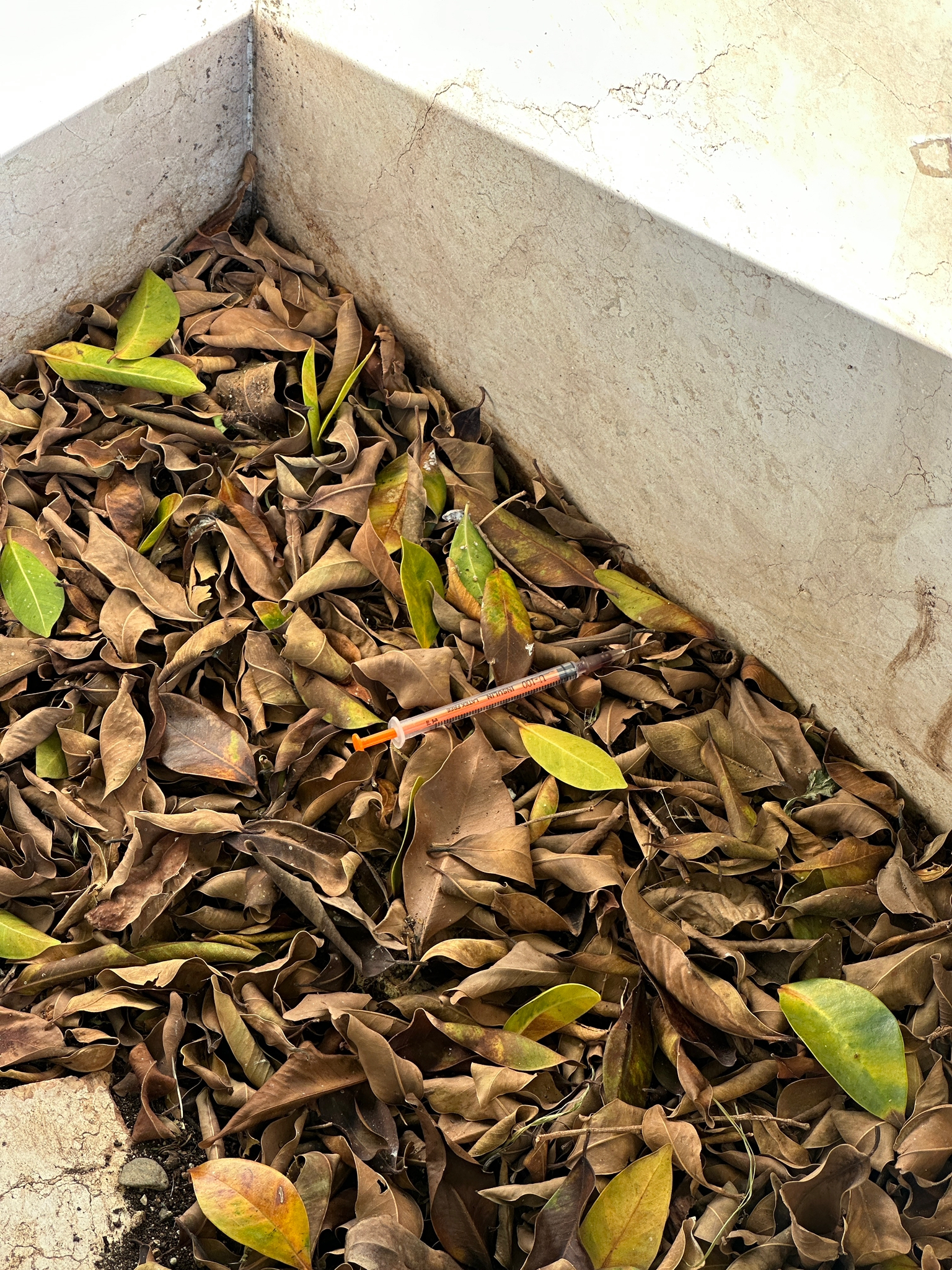 Cagliari, allarme siringhe a Terrapieno: “Un pericolo per i nostri bimbi”