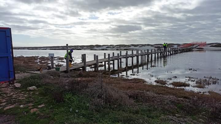 Cabras, svolta negli stagni di Su Pottu e Mari Ermi: in arrivo i nuovi ponti in legno