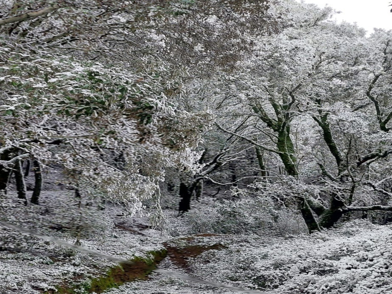 La neve arriva anche nel Sulcis, freddo e fiocchi avvolgono tutti i monti