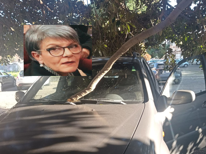 Tragedia sfiorata a Cagliari: “Un grosso ramo di ficus è crollato sulla mia auto”