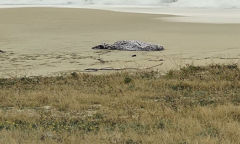 Naufragio nel mare di Crotone, almeno 40 morti