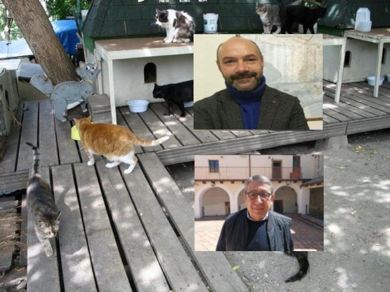 Quartu, percettori del reddito di cittadinanza al lavoro: “Aiuteranno anche le persone fragili e i gatti randagi”