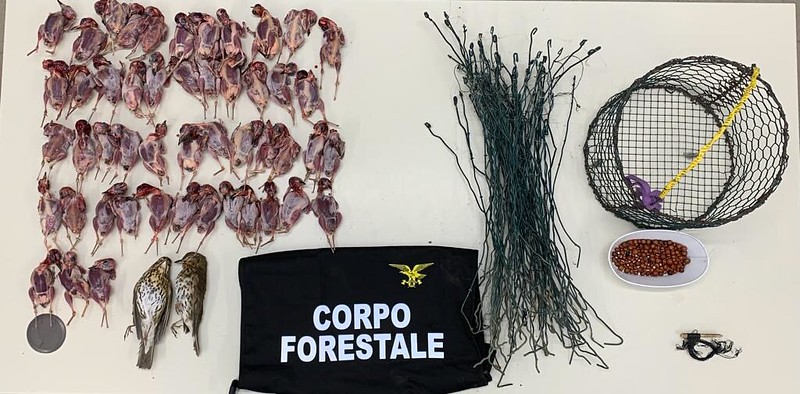 Aveva sistemato mille trappole per catturare i tordi: denunciato un bracconiere di 78 anni di Capoterra