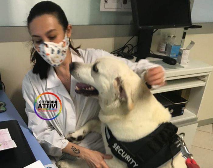 Sanluri, presto riaprirà l’ambulatorio veterinario di Marcello Lampis e Maristella Tinti