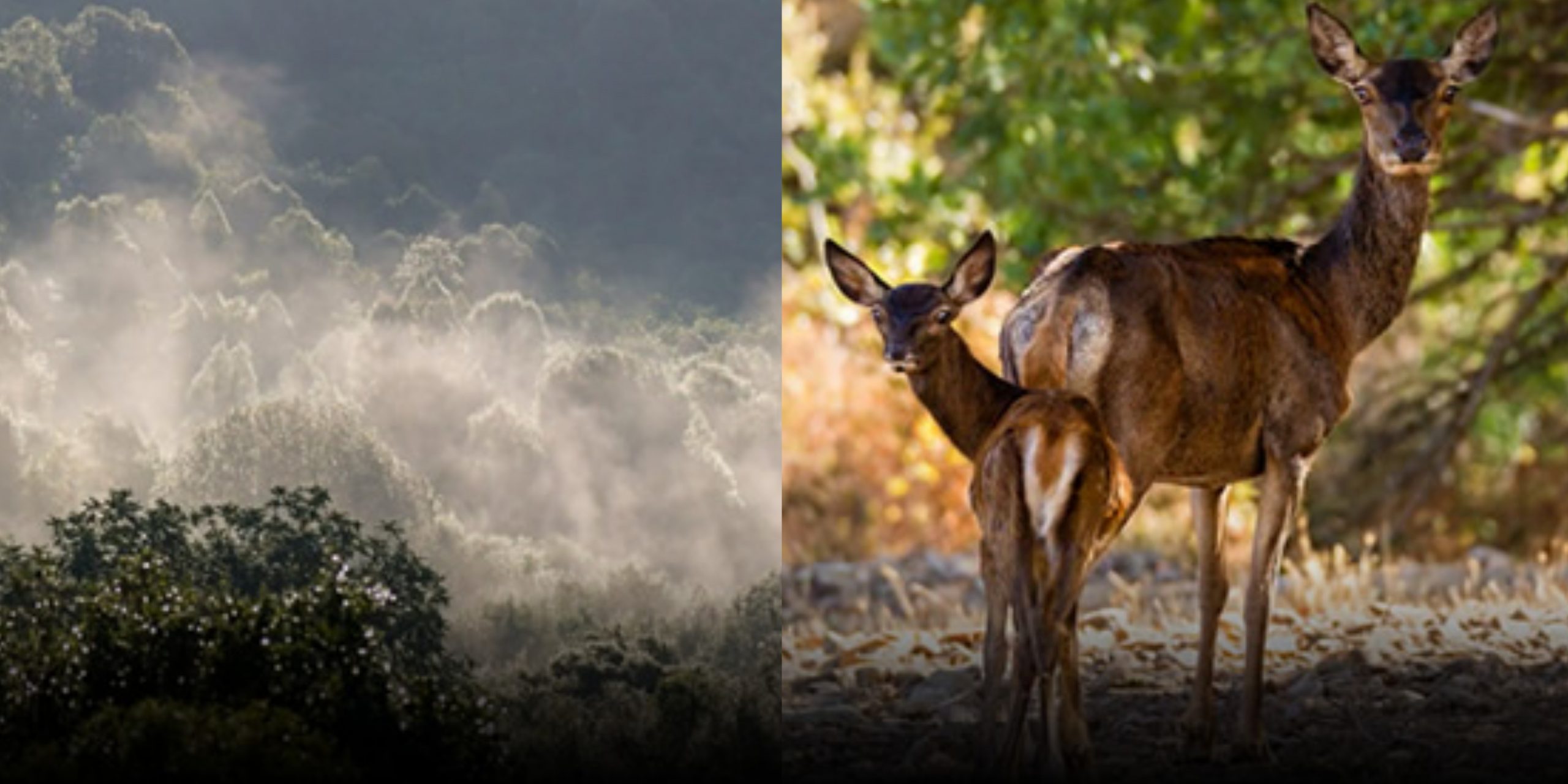 Alla scoperta di Gutturu Mannu: al via “Camminiamo insieme nel parco”