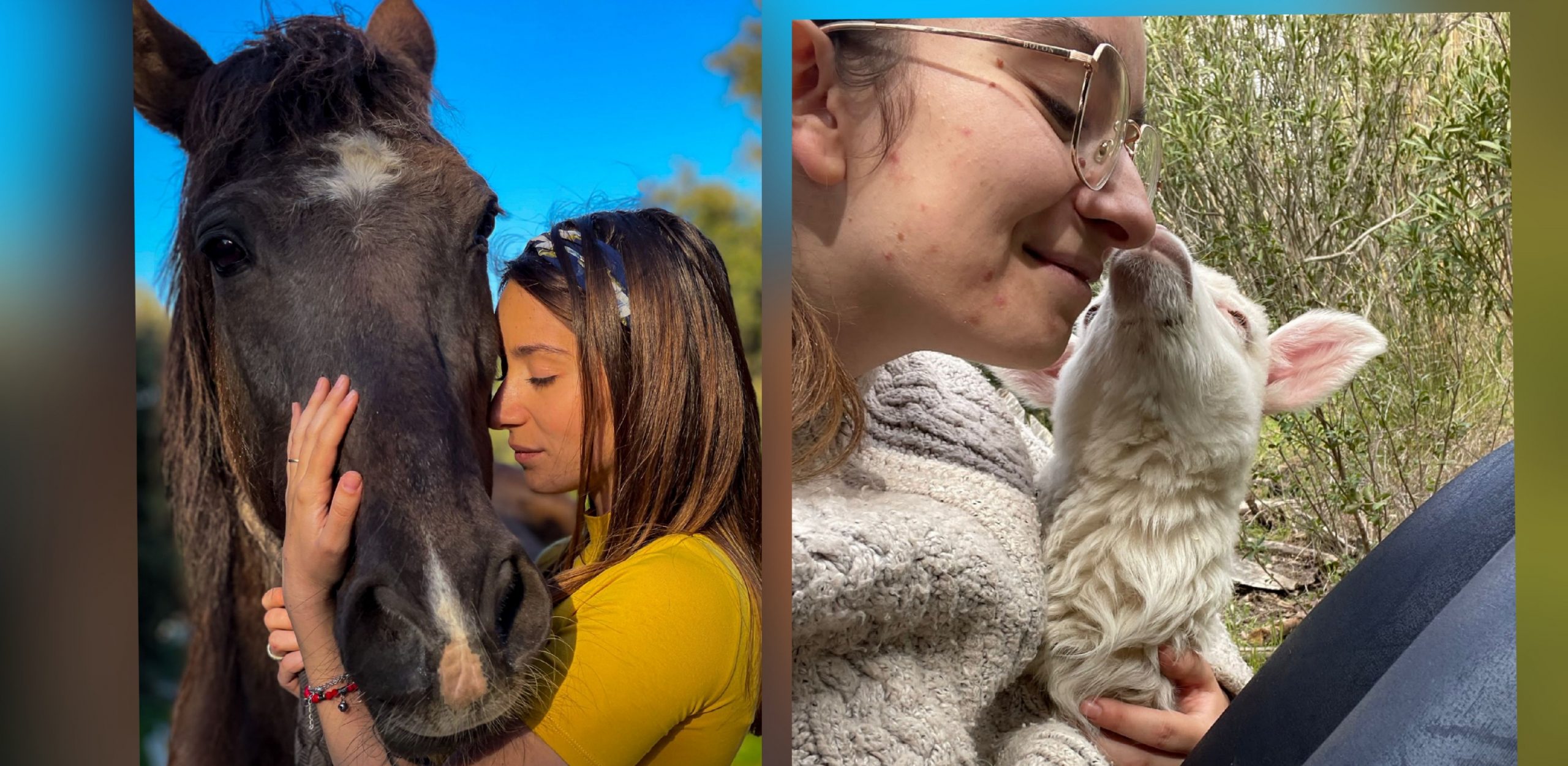 “Con il mio ranch ho salvato animali destinati al macello, ora raccolta fondi con Gofundme”