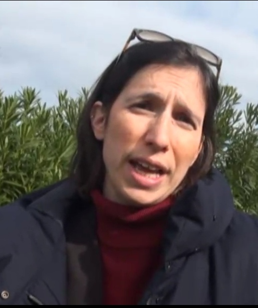 Elly Schlein attacca, Solinas s’infuria: scintille in Sardegna sulla continuità territoriale