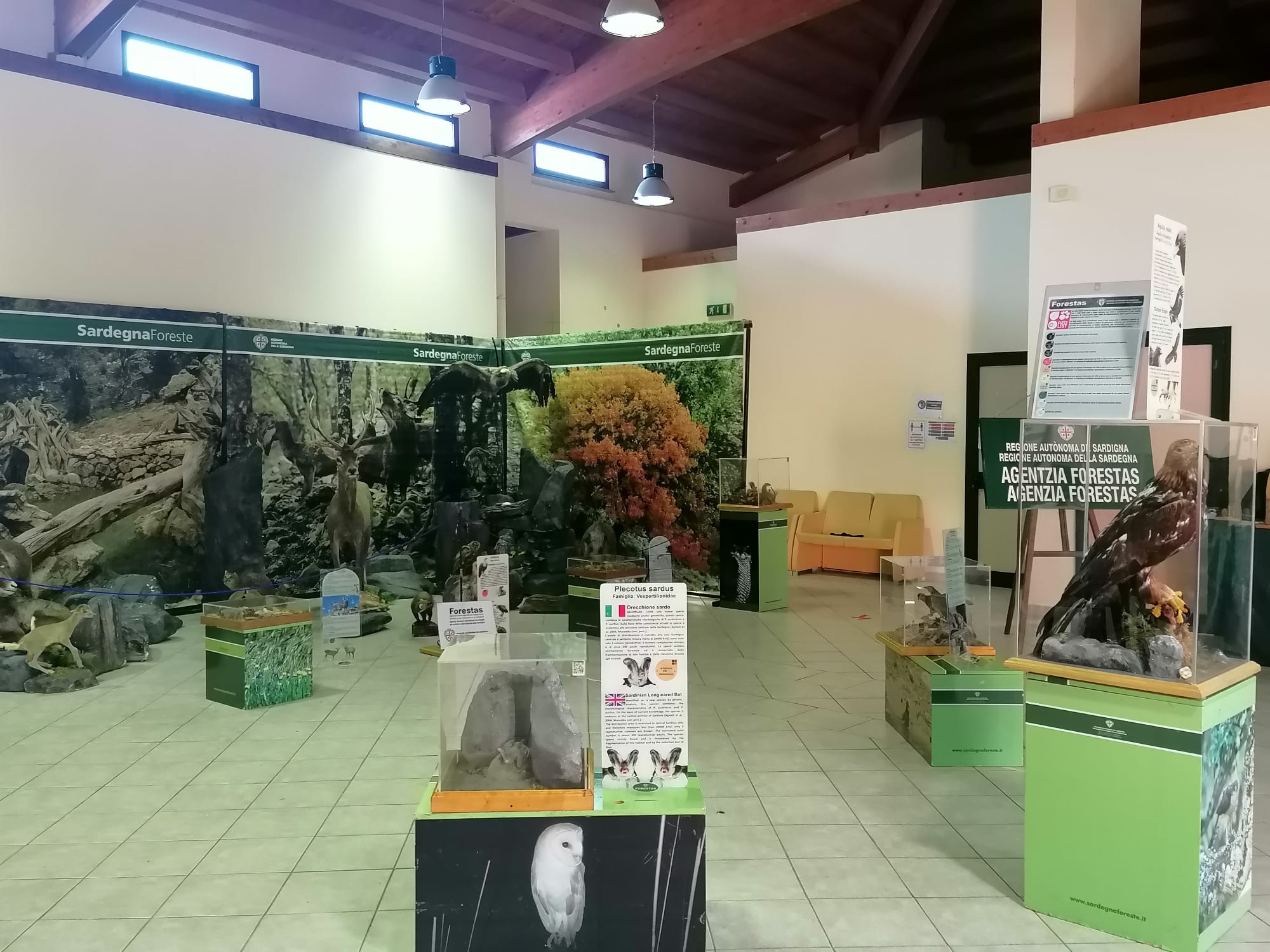 Uta, il parco di Gutturu Mannu in vetrina: “Diventerà un punto di eccellenza e sviluppo economico”