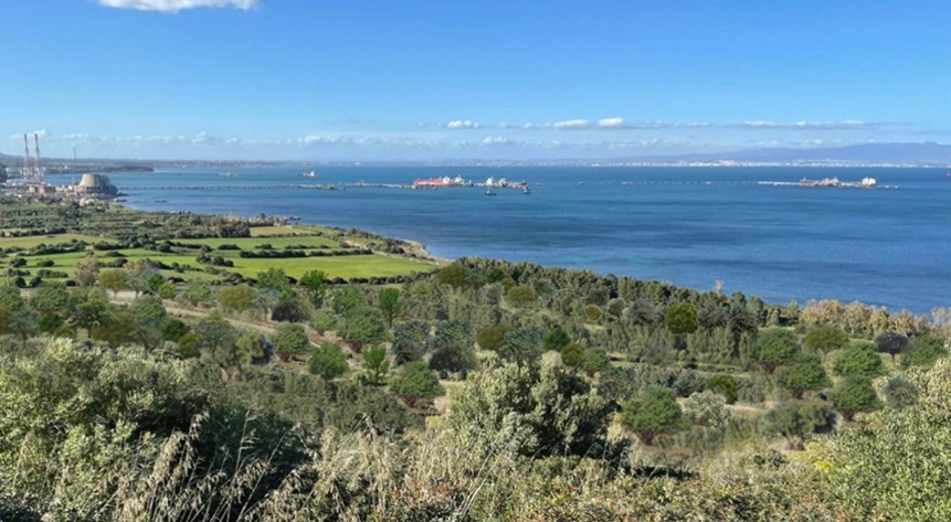 Lotta all’inquinamento a Sarroch: in arrivo una foresta con 50mila alberi tra il paese e la raffineria