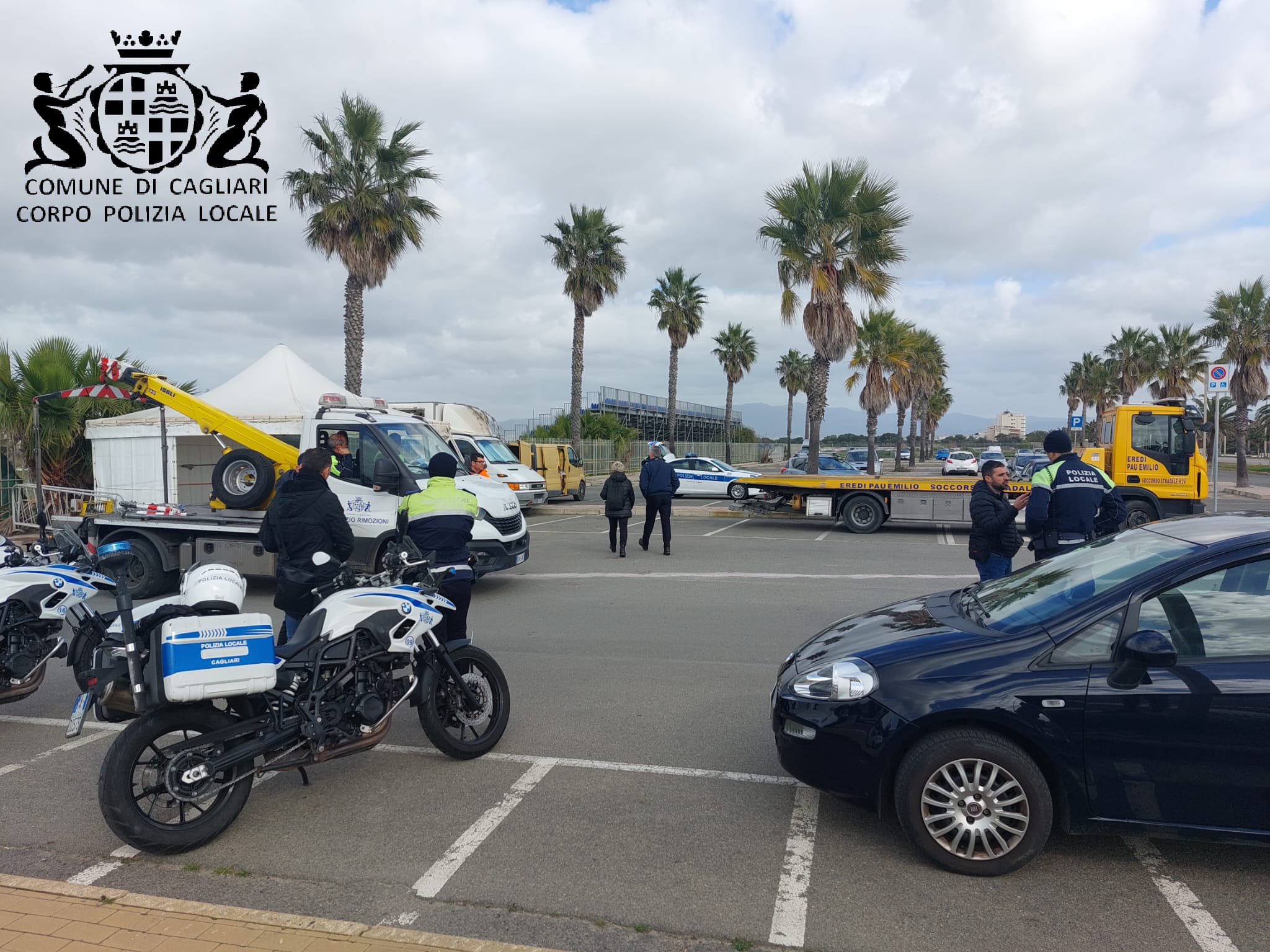 Cagliari, vendita illegale di ricci al Poetto: maxi multa per un ambulante di Quartu