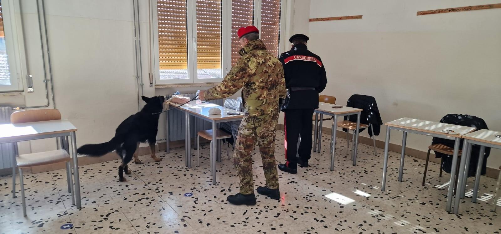 Blitz nelle scuole, i cani antidroga fiutano la marijuana: nei guai due studenti di Macomer