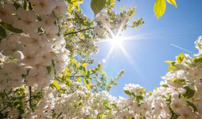 Meteo Casteddu, 20 gradi e sole su tutta l’Isola a quattro giorni dalla primavera