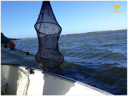 Pesca illegale negli stagni di Porto Pino, 8 reti rimosse e sequestrate dalla Forestale