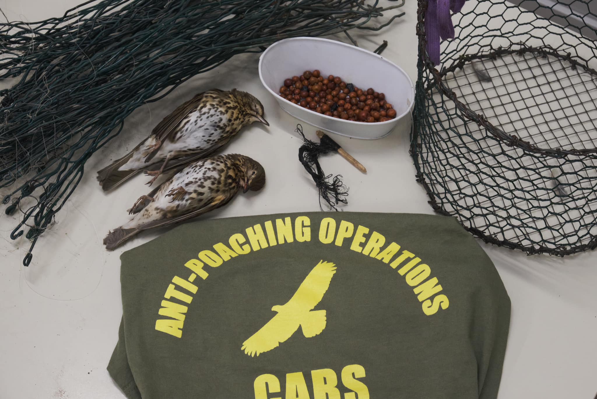 Cagliari, piazza centinaia di trappole per catturare tordi e merli: bracconiere nei guai