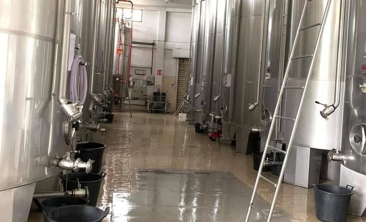 Pirri, nuove certificazioni per un’eccellenza locale: l’aceto di vernaccia, mirto, balsamico e bianco