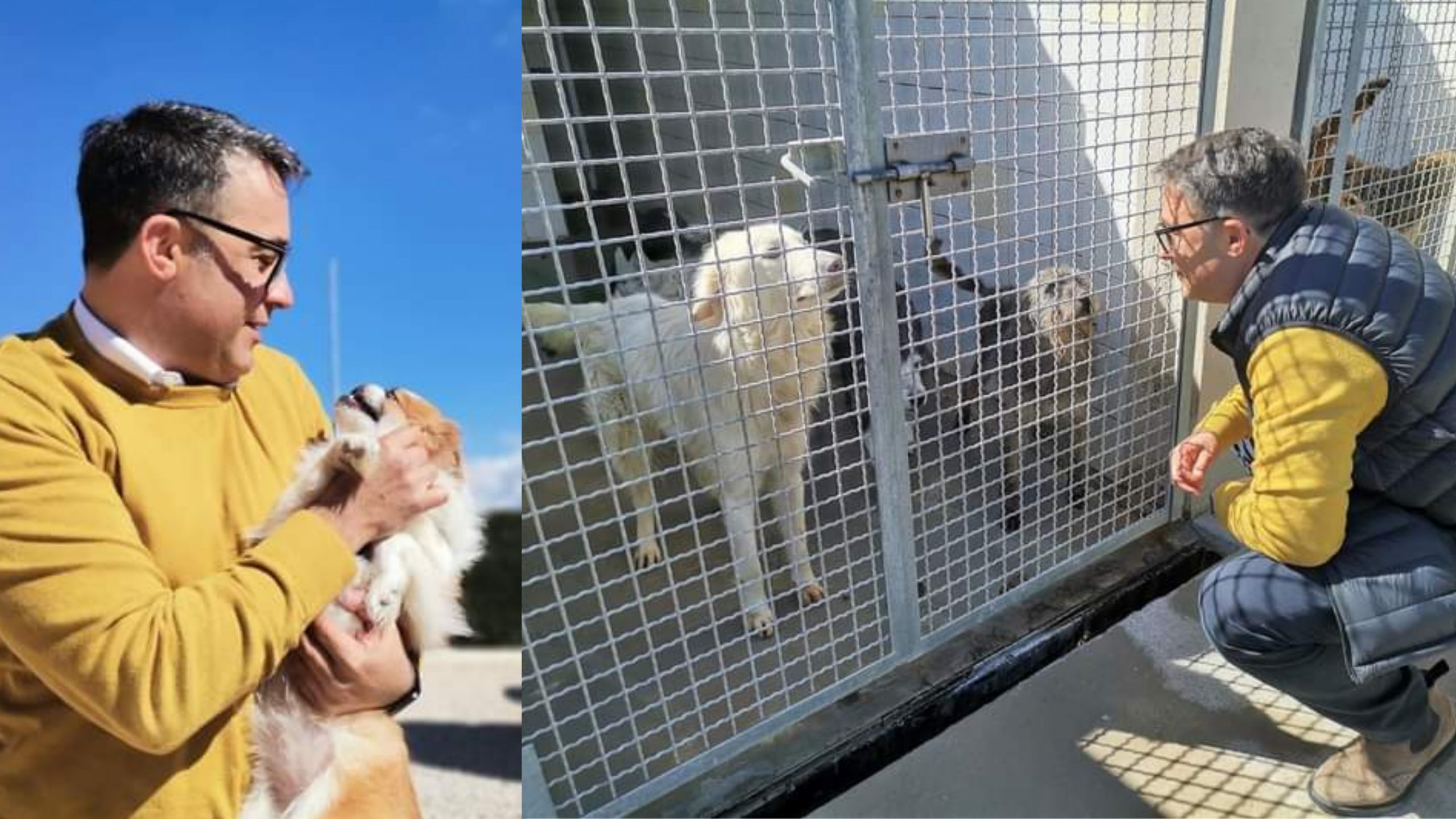 Villaspeciosa, un appello speciale per trovare casa agli amici a quattro zampe meno fortunati