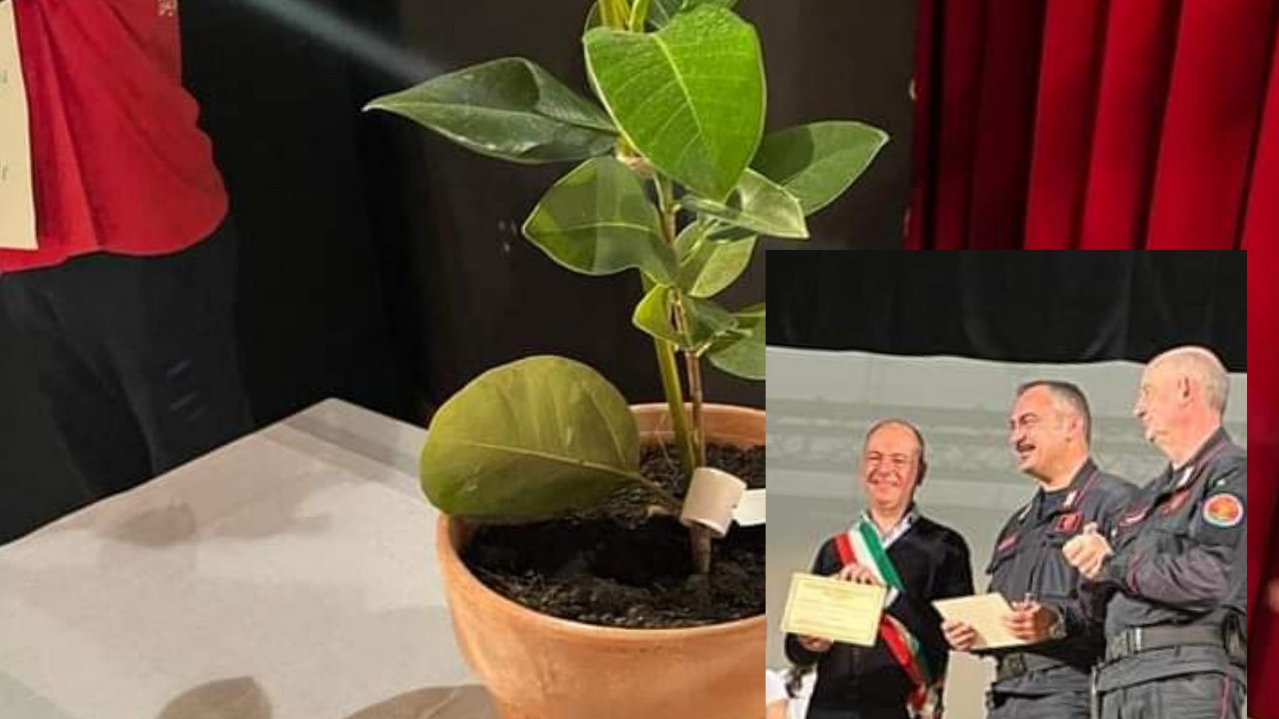 Selargius, il seme di legalità dimora da oggi in città nel nome di Giovanni Falcone