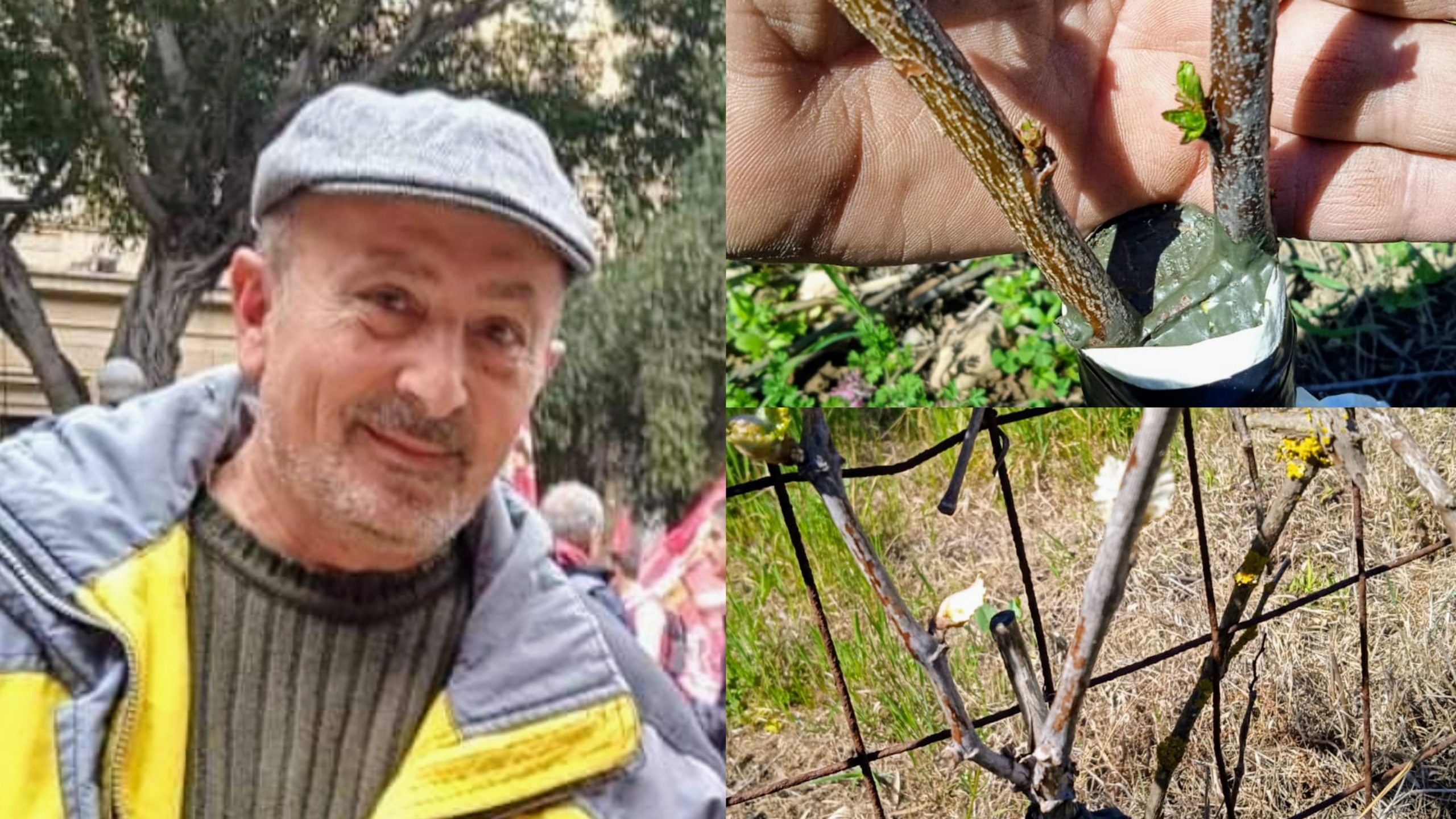 Siliqua, un progetto con i ragazzi fragili e tanti complimenti per Valerio Podda