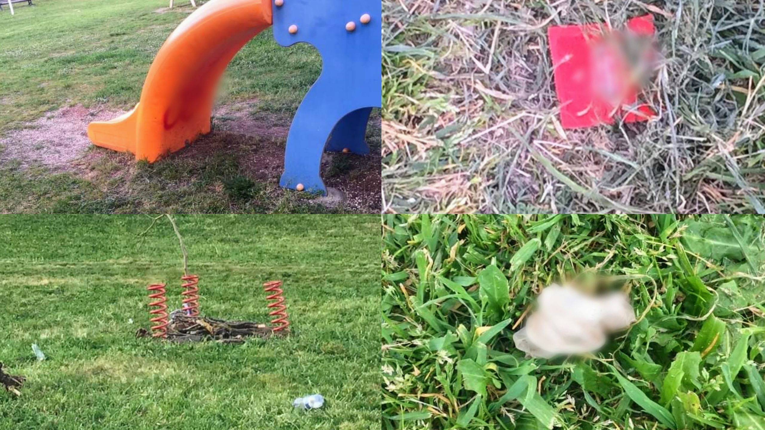 Disegni osceni e giochi distrutti, ecco come si presenta il parco Sertinu a Macomer