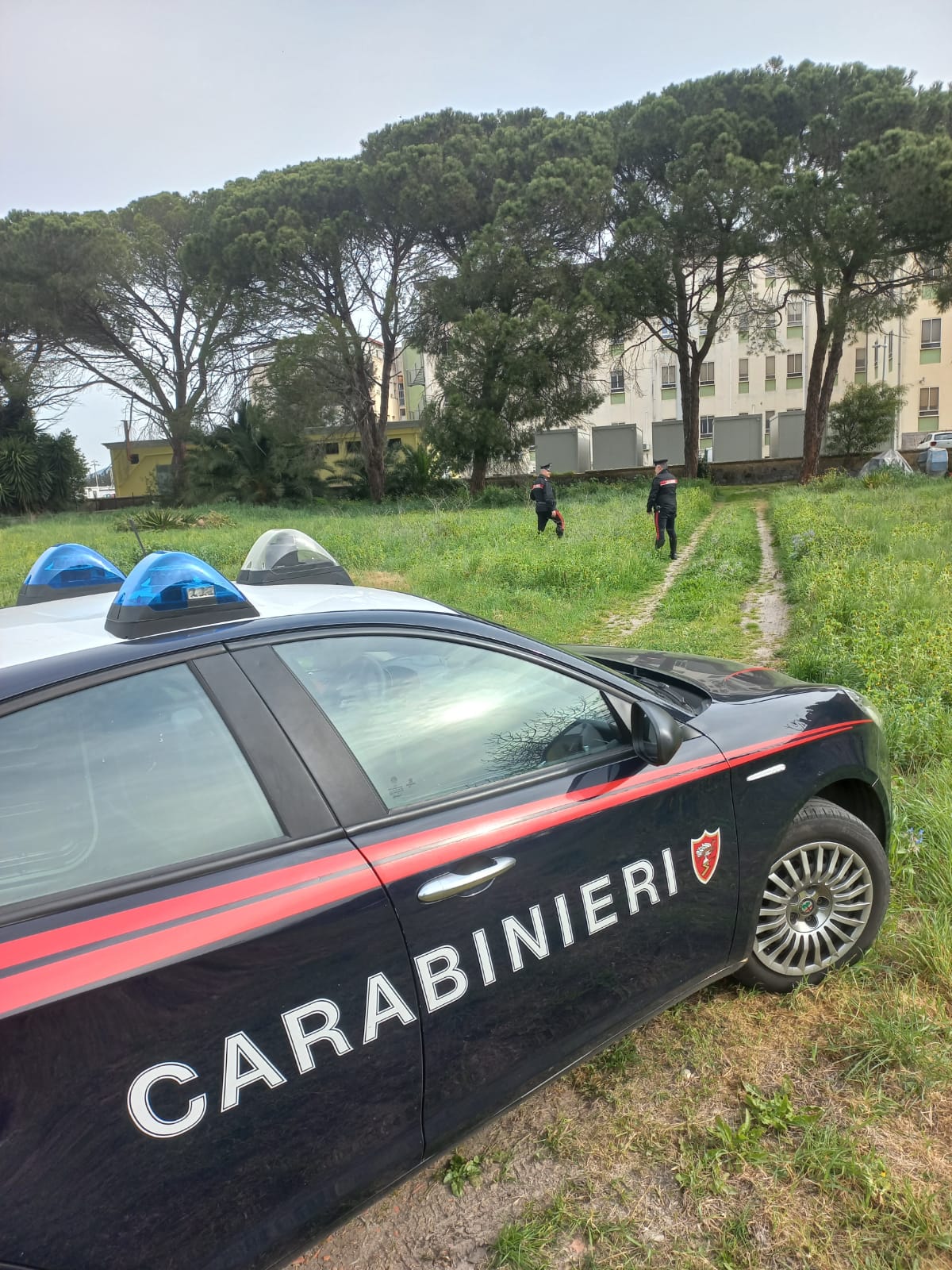 Rapina alla farmacia di San Gavino Monreale, individuato il responsabile: è un 22enne di Monserrato